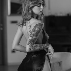 prev image