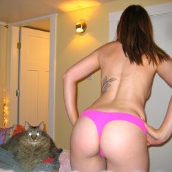 prev image