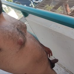 prev image