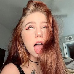 prev image
