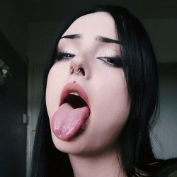 prev image