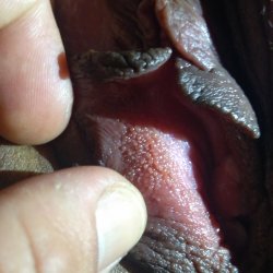 Corninho quis mostras a bucetinha da namorada ! #lPVmMzwV